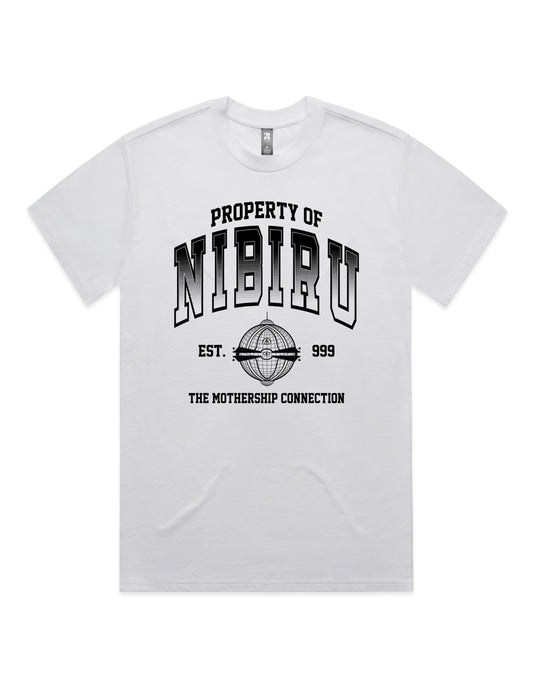 PROPERTY OF NIBIRU T-SHIRT